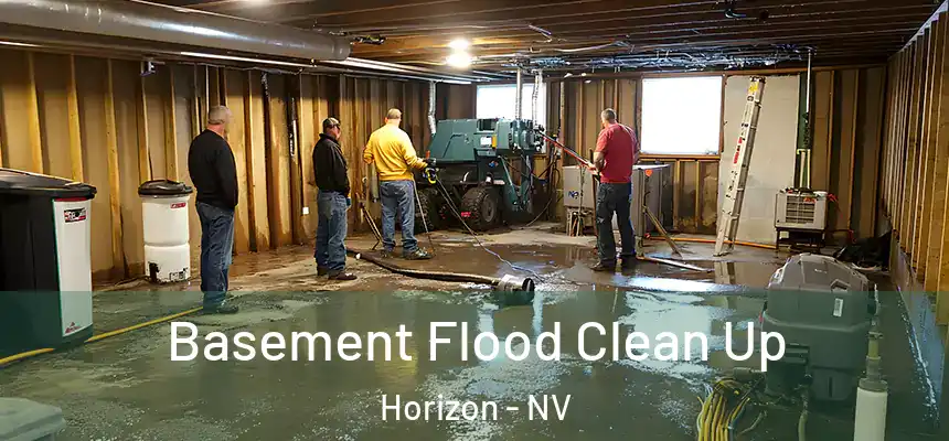  Basement Flood Clean Up Horizon - NV
