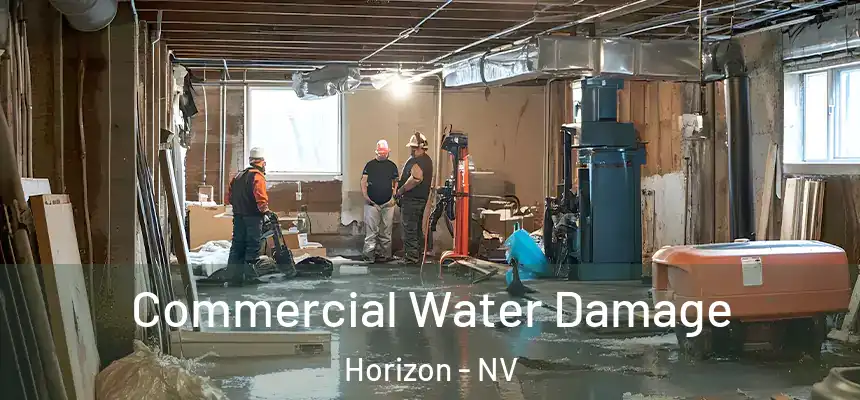  Commercial Water Damage Horizon - NV