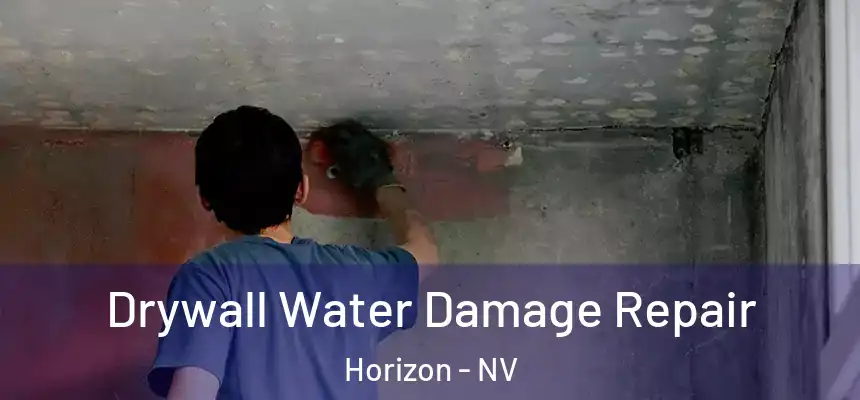  Drywall Water Damage Repair Horizon - NV