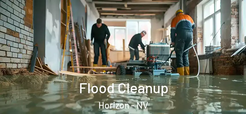  Flood Cleanup Horizon - NV