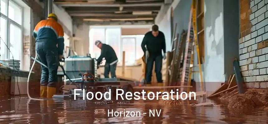  Flood Restoration Horizon - NV