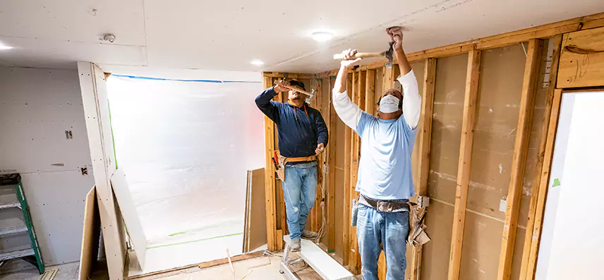 Fire Damage Reconstruction in Horizon