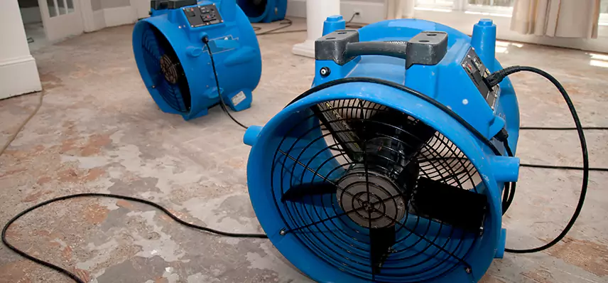 Sewage Removal Services in Horizon