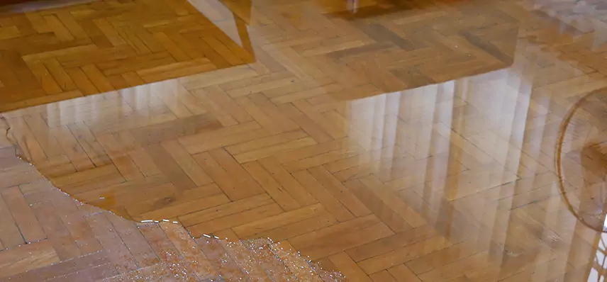 Laminate Wood Floor Water Damage Repair in Horizon