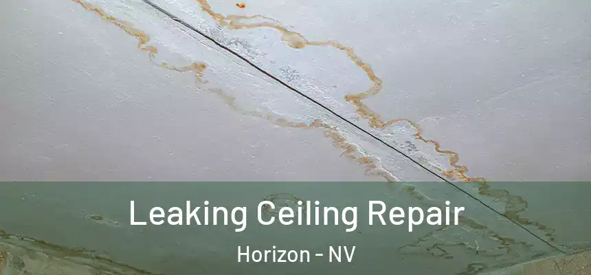  Leaking Ceiling Repair Horizon - NV
