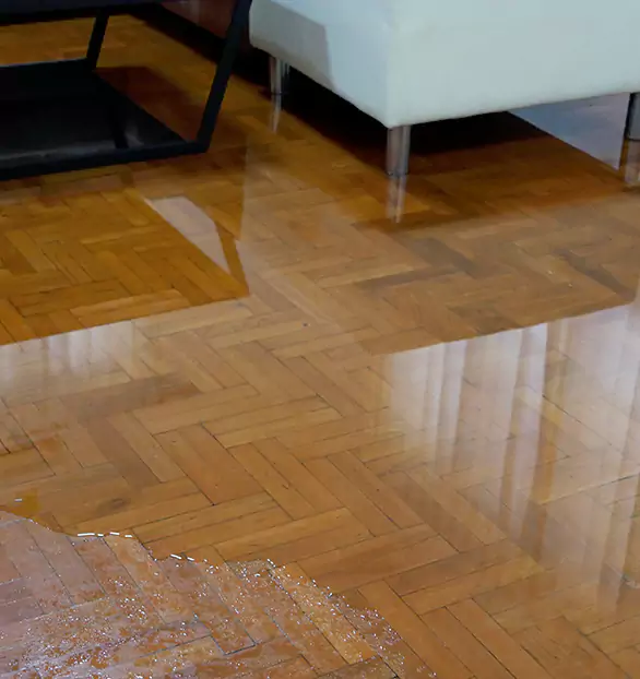 Trusted Emergency Water Restoration Company in Horizon, NV