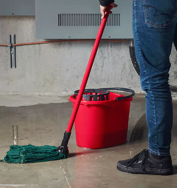 Trusted Sewage Cleanup Company in Horizon, NV