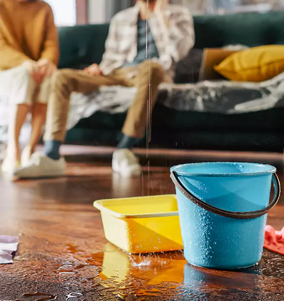 Reliable Water Mitigation Company in Horizon, NV