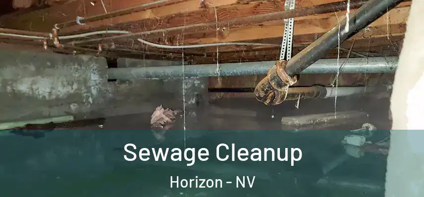  Sewage Cleanup Horizon - NV