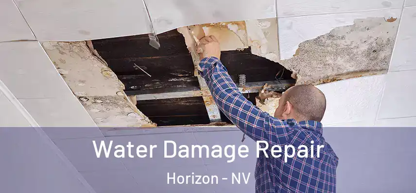  Water Damage Repair Horizon - NV