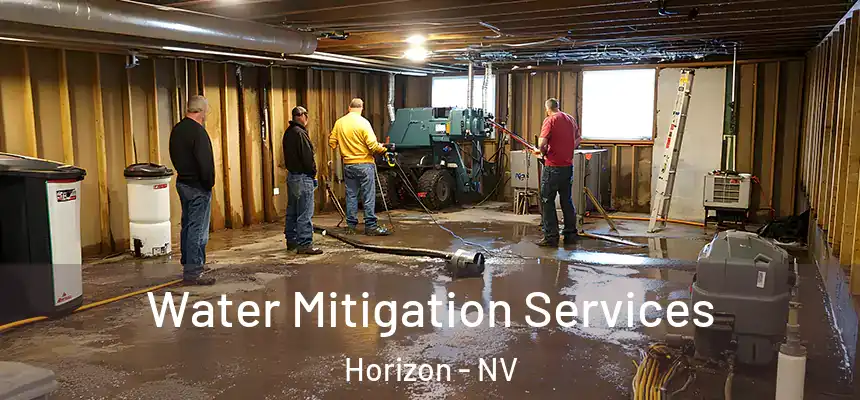  Water Mitigation Services Horizon - NV