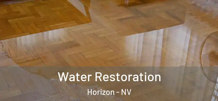  Water Restoration Horizon - NV