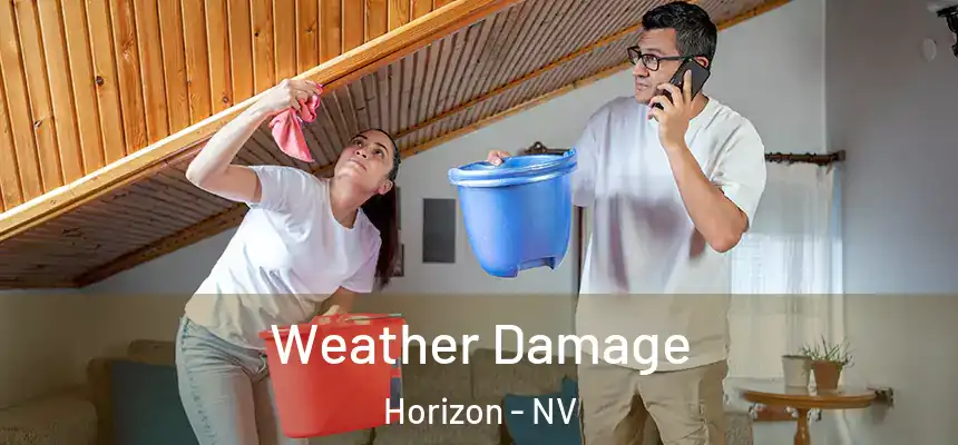  Weather Damage Horizon - NV